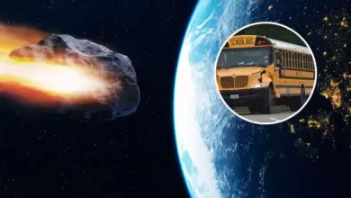 NASA Pantau Asteroid Sebesar Bus Melintas Dekat Bumi: Apa Dampaknya untuk Kita?