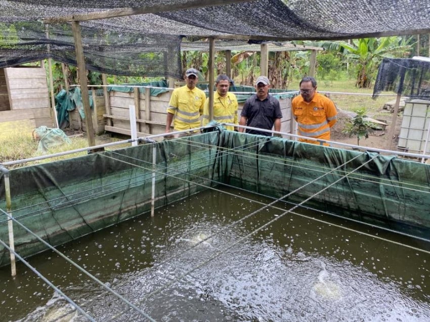 NHM Peduli: Dorong Ekonomi Desa Soahukum Melalui Budidaya Ikan Nila yang Inovatif