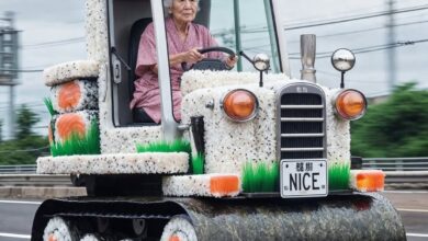 Niceaunties: Karakter Bibi AI Viral Cermin Keresahan Stigma Sosial Asia Tenggara