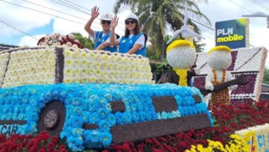 PLN Electrifying Agriculture: Meningkatkan Produktivitas Petani Bunga Krisan di Tomohon