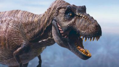 Palentolog Ungkap 4 Cara Dinosaurus Berlari, Mirip Burung Unta