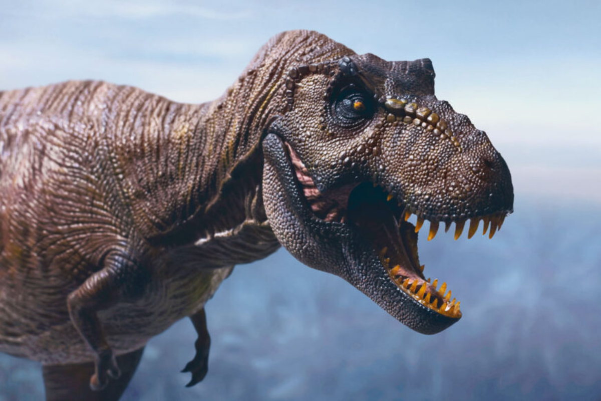 Palentolog Ungkap 4 Cara Dinosaurus Berlari, Mirip Burung Unta