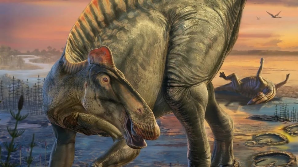 Penemuan Fosil Dinosaurus Ungkap Wujud Asli Edmontosaurus 66 Juta Tahun Lalu