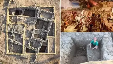 Ritual Kuno Terungkap: Temuan Menarik di Lokasi Pertempuran Akhir Alkitab