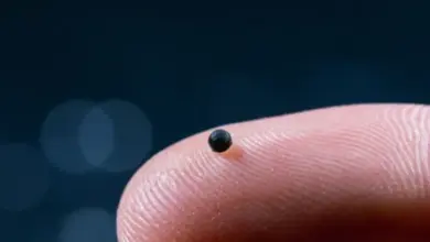 Robot Kapal Selam 2mm Berhasil Berenang di Darah Babi: Inovasi Pengantaran Obat Masa Depan!