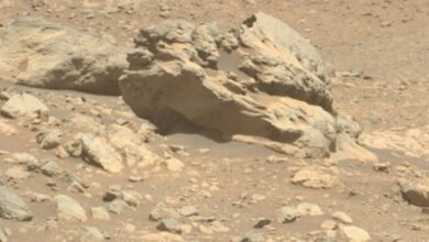 Rover NASA Temukan Batu Misterius di Mars: Apa Keterkaitannya dengan Luar Angkasa?
