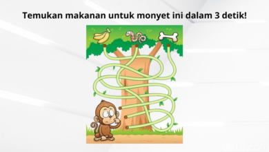 Siapa Berani Tantang Teka-teki Receh Ini? Buktikan Otakmu Tanpa Nyontek!