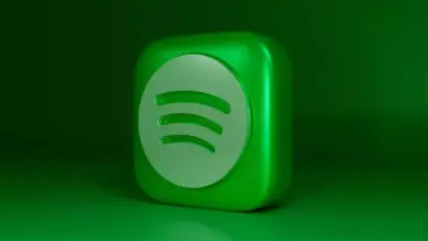 Spotify Luncurkan Fitur Audio Lossless di Indonesia: Apa Saja keuntungannya untuk Pendengar?