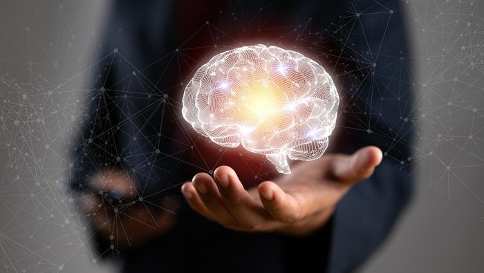 Studi Terbaru: Kenapa 'Night Owl' Miliki Kemampuan Kognitif Lebih Tinggi daripada 'Early Bird'?