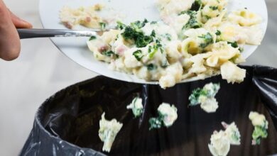 Swedia Usulkan Pajak Makanan Tak Ramah Lingkungan, Bisakah Indonesia Meniru?