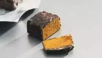 Terobosan Gila: Eropa Ciptakan Makanan dari Udara dan Urine Astronot, Inovasi Masa Depan!