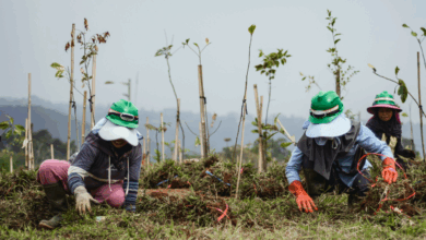 Transformasi Konflik Agraria: Dari Sengketa ke Ekowisata yang Bermakna dan Berkelanjutan