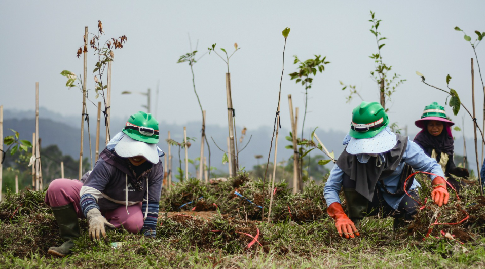 Transformasi Konflik Agraria: Dari Sengketa ke Ekowisata yang Bermakna dan Berkelanjutan