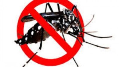 Tren Kenaikan Kasus Rawat Inap dan Klaim Dengue: Apa Penyebabnya dan Apa Tindakan Kita?