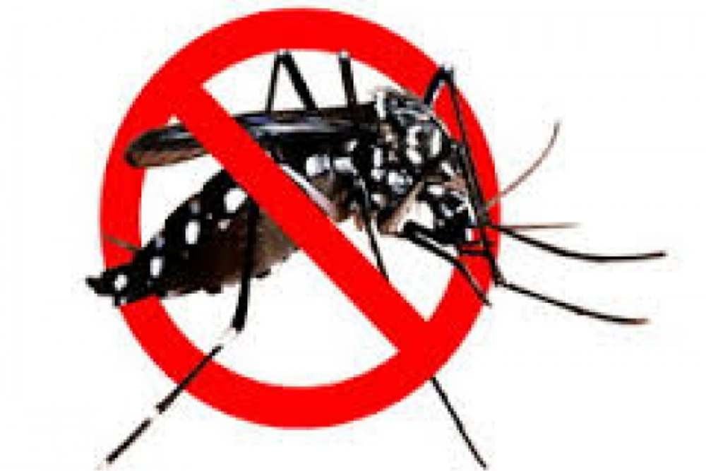 Tren Kenaikan Kasus Rawat Inap dan Klaim Dengue: Apa Penyebabnya dan Apa Tindakan Kita?