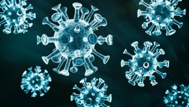 Varian Flu H3N2 Meningkat di Inggris dan Jepang: Kenali Gejalanya dan Waspadai Dampaknya