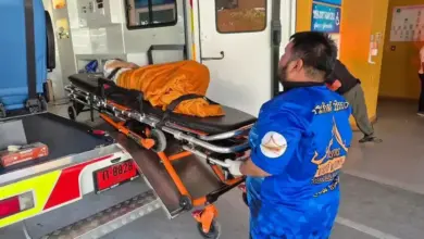 "Kisah Nyata Sindrom Lazarus: Ketukan Misterius dalam Peti Mati yang Membuat Takjub"