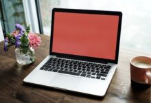 10 Rekomendasi Laptop Murah Terbaik untuk Content Creator Pemula 2025