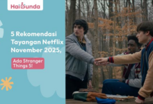 5 Rekomendasi Tayangan Netflix Terbaik, Serial Stranger Things 5 Siap Tayang