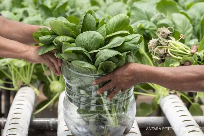 6 Sayuran Beku Terbaik dan Paling Segar Pilihan Ahli Gizi, Jangan Salah Pilih di Supermarket