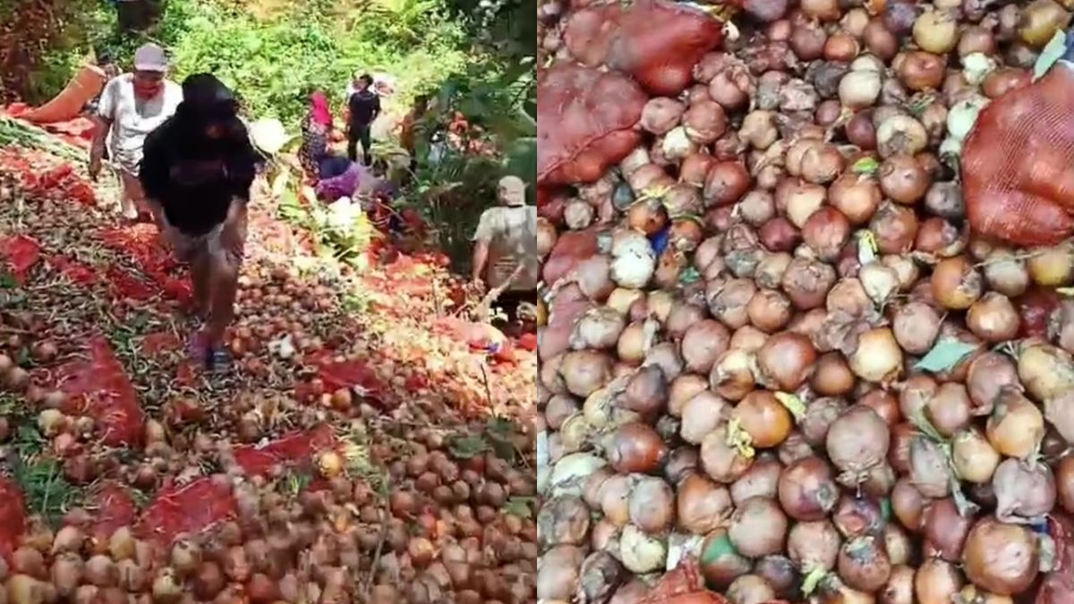 7 Potret Bawang Bombay Murah di Batam, Dijual Rp5.000 per Buah Diserbu Warga
