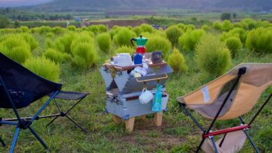 8 Destinasi Wisata Terbaik untuk Liburan Nyaman dan Dekat dengan Alam di Indonesia