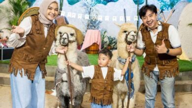 8 Rekomendasi Mini Zoo Terpopuler di Jakarta dan Sekitarnya untuk Liburan Keluarga