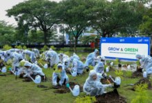 BRI Ajak Masyarakat Tanam Pohon: Komitmen Nyata untuk Lingkungan yang Berkelanjutan