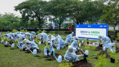BRI Ajak Masyarakat Tanam Pohon: Komitmen Nyata untuk Lingkungan yang Berkelanjutan