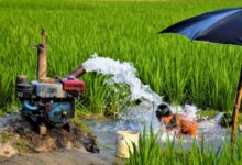 Bumi Kehilangan 324 Miliar Meter Kubik Air Tawar Setiap Tahun: Ancaman bagi Masa Depan Kita