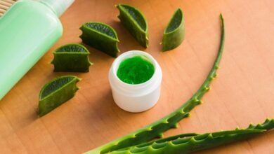 Cara Memakai Lidah Buaya untuk Atasi Rambut Rontok dan Kering secara Efektif