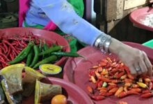 Harga Cabai Turun Signifikan, Telur Stagnan di Rp 33.000/Kg: Simak Rincian Lengkapnya!