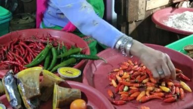 Harga Cabai Turun Signifikan, Telur Stagnan di Rp 33.000/Kg: Simak Rincian Lengkapnya!