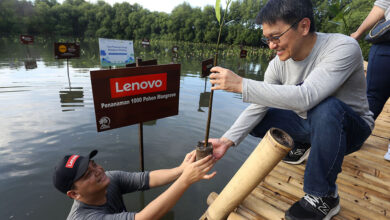 Lenovo Indonesia Lanjutkan CSR Lingkungan dengan Program Rehabilitasi Mangrove