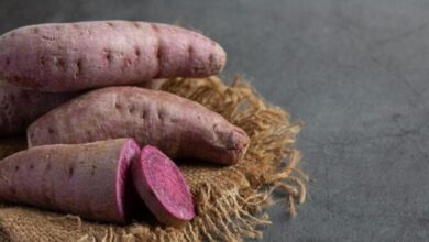 Manfaat Ubi Ungu untuk Kecantikan dan Kesehatan Wanita: Fakta dan Kandungan Nutrisi