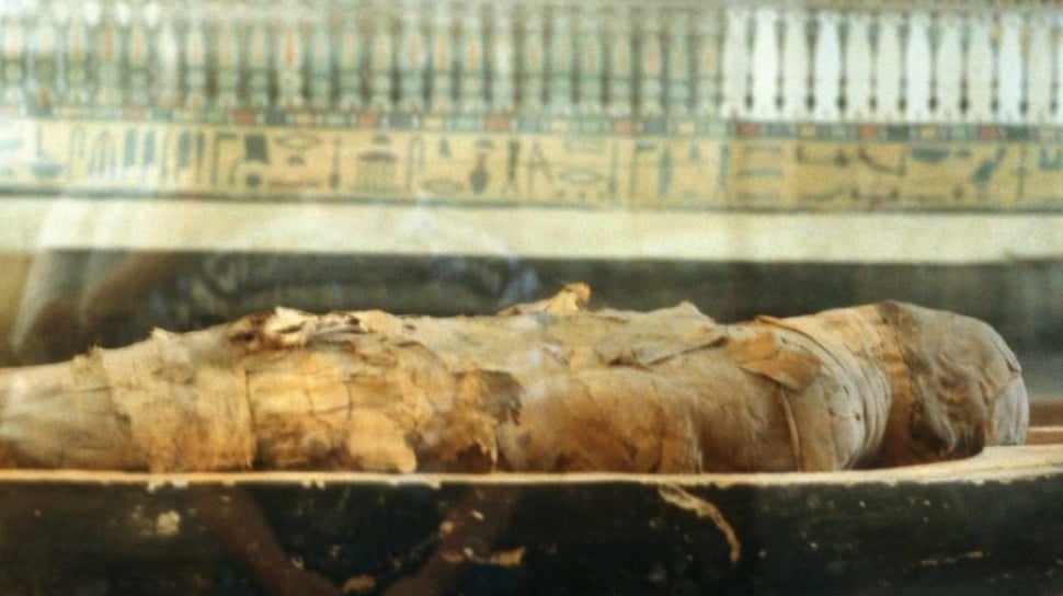 Mumi Guanajuato: Penemuan Jamur Aktif Berbahaya di Meksiko Menyebabkan Kekhawatiran Baru