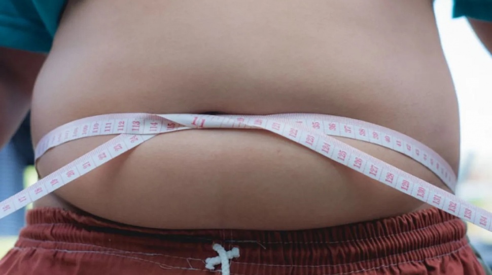 Obesitas Dewasa RI Meningkat Drastis: Kenali Bahaya Lemak Perut yang Mengancam Jiwa Anda!