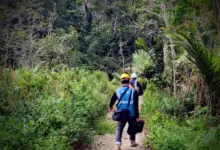 PLN Icon Plus Percepat Pemulihan Jaringan dengan Perbaikan Backbone di Batang Toru