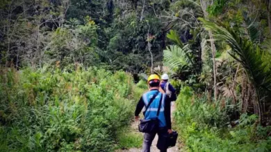 PLN Icon Plus Percepat Pemulihan Jaringan dengan Perbaikan Backbone di Batang Toru