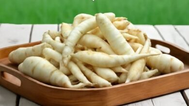 Rahasia Umbi Garut dalam Minuman: Solusi Alami Obat GERD dan Maag dari Ahli Gizi!