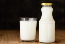 Susu Tanpa Gula: Pilihan Aman dan Sehat untuk Pertumbuhan Anak Anda