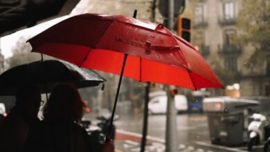 Waspada Hujan Lebat: Daftar Wilayah yang Terkena Dampak 2-8 Desember 2025 Menurut BMKG