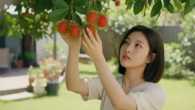 5 Prompt Gemini AI Ini Ubah Foto Kamu Jadi Panen Rambutan Estetik, Coba Sekarang!