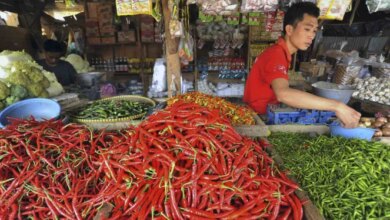 Harga Cabai, Telur, dan Daging Ayam Naik Lagi, Intip Daftar Lengkap Komoditas Lainnya 2026